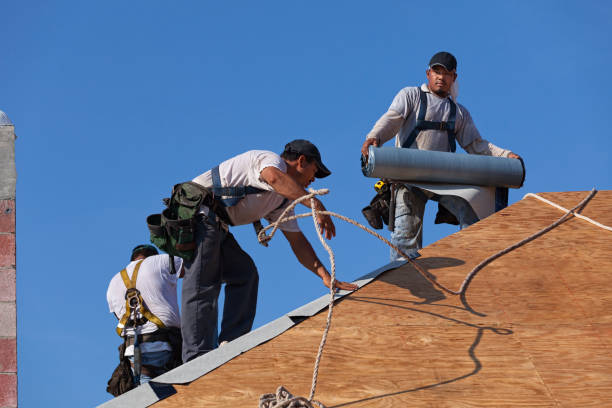 Best Residential Roofing Contractor  in Rome, IL